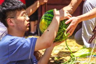 影子舞吃瓜,揭秘娱乐圈幕后风云