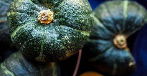 后室吃瓜,揭秘吃瓜群众的狂欢盛宴