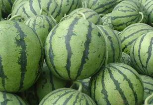 沂水近期吃瓜事件,揭秘近期网络热议事件背后的真相