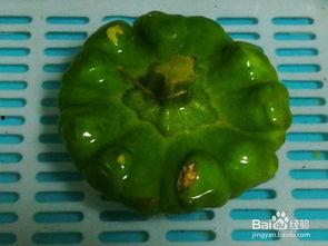 贵阳吃姜饼瓜,姜饼瓜的独特风味体验