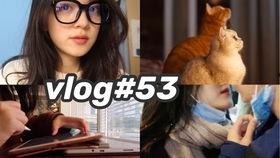 隔离吃瓜,瓜田里的欢乐时光