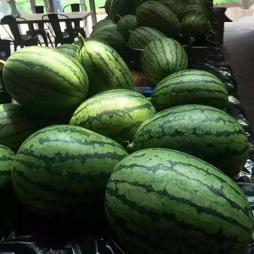 古代京城吃瓜系统,揭秘繁盛时期的“吃瓜”文化盛况