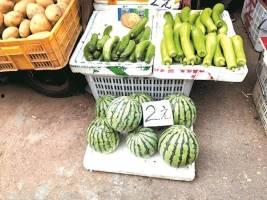 自由吃瓜几次,畅享生活乐趣