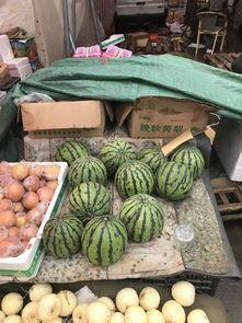 郑州吃瓜中心网站,揭秘城市美食风向标