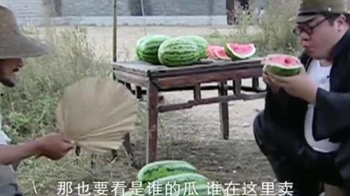 胖翻译吃瓜,揭秘网络热词背后的文化现象