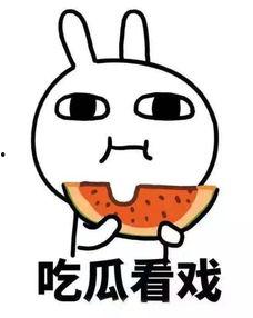 吃瓜专题网络梗,揭秘吃瓜群众的网络梗世界