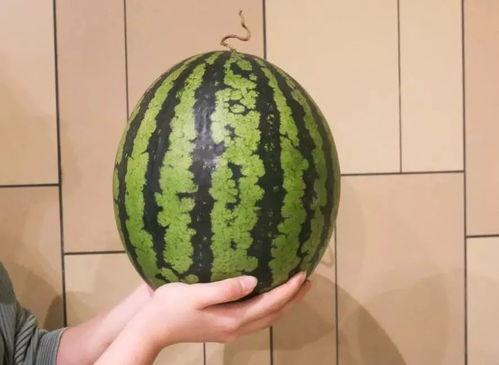 花1块吃瓜,体验别样美食之旅