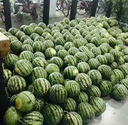 固原校园吃瓜事件