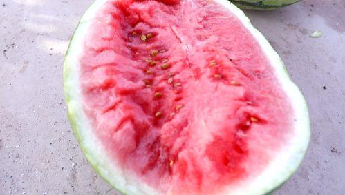 反差风吃瓜,揭秘娱乐圈的“冰火两重天”