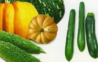 朴素吃瓜,揭秘娱乐圈幕后真相