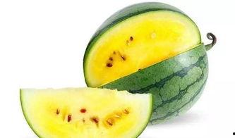 吃瓜哪个平台好,吃瓜爱好者必看，哪个平台才是最佳选择？